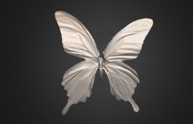 Butterfly 3D Model Scanned by KSCAN 3D Scanner