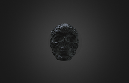 Human Skull Carving Scanning by PRINCE 3D Scanner