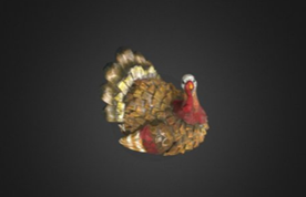 3D Turkey