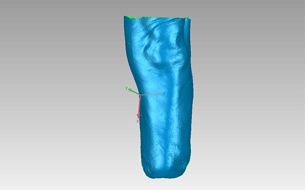 stl data of the leg
