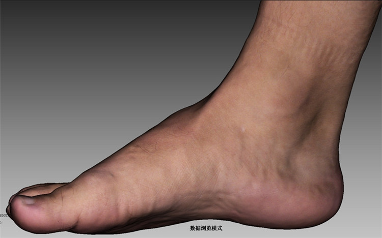 foot color obj