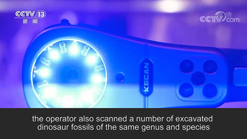 the operator also scanned a number of excavated dinosaur fossils of the same genus and species