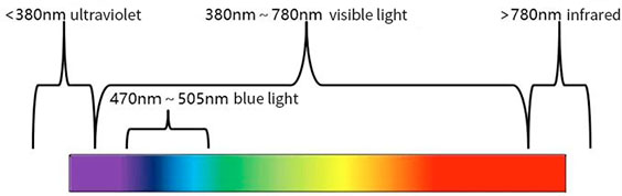 spectrum, infrared light, visible light